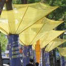 은행공원 내 이미지