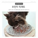 강아지맘마연구소 | [내돈내산] 강아지슬로우식기 - 소화기 건강, 두뇌개발에 좋은 &#34;실리콘연구소 브런치 릭매트&#34;