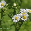 저산목장 이미지