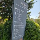 평화누리 | 파주 가볼만한곳 임진각 평화누리 방문 후기
