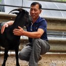 하모니농장 이미지