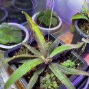 아델라농장 이미지