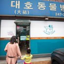 대호동물병원 이미지