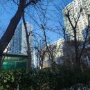 283 | #283 [후기/일상] 2026년 1월 정산