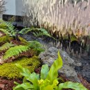 스테이 유수 이미지