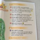 오스카 당구장 | 제주 신화월드 호텔앤리조트 멋진 야경, 신화테마파크 레이저쇼관람후기