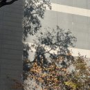 사랑하자 할 때 끄떡없어 버리자