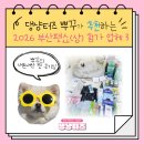 페따미꼬 | 댕냥터즈 뿌꾸가 추천하는 2026 부산펫쇼(상) 추천 브랜드｜내돈내산 찐 후기 반영