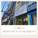 딜리헤어
