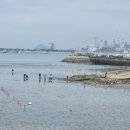 저도어촌체험휴양마을 이미지