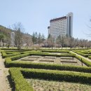 평창IC | 키즈노트 특가로 떠나본 켄싱턴호텔 평창 내돈내산 솔직후기