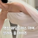 에덴결혼정보 | 강남 웨딩드레스 피팅 후기 | 역삼 블레스올데이즈 야외웨딩 촬영용 드레스 피팅