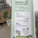 참솔농장 | 광주 근교 아이랑 머시머시 체험농장에서 고구마 캐고 시골느끼기