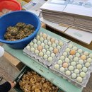 장금이소머리국밥 이미지