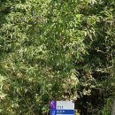 양묘장약수터 이미지