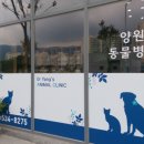 양원주동물병원 이미지