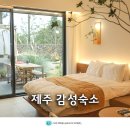 제주 감성숙소 애월 가성비 제주도 독채 커플 풀빌라 후기