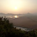 순천만 숲1 이미지