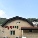 아일랜드코쿤 | 가평 | 풀파티와 바베큐&amp; 수영장까지 완벽한 여름휴가 스팟 아일랜드코쿤🏖️