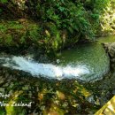 밝은마음약국 이미지