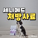 함께오래동물병원 | 강아지 프리미엄 동물병원 처방 사료 세니메드 급여후기