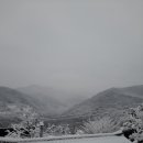 지리산옻닭흑돼지 이미지