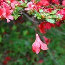 직업상담사 필기 - 노동관계법규 이미지