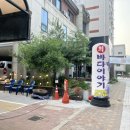 바다이야기 | 평택용이동 횟집 바다이야기 오징어회 후기