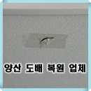 세븐일레븐 양산동면 원룸점 | 양산 도배 복원 업체 사송 제일 풍경채 천장 벽지 보수 작업