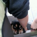 중원초등학교1 이미지