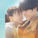 6월 개봉 일본 영화 366일 후기 (스포 없음)