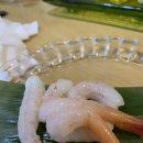 훈이네스시 이미지