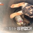 조성수농장 이미지