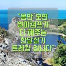 알파캠프