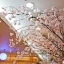 대박무한리필 이미지