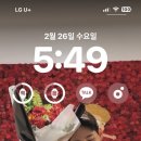 쮸 JJU