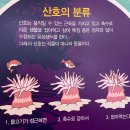 여수여행과 보통의 일상(질병을 곁들인)
