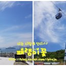 용궁농장 이미지