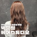 중앙프라자 | 안산 중앙동 박승철헤어안산중앙점 소희 디자이너 후기 | 탈색없이 브라운 염색