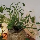 명월 민박 이미지