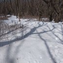 3월27일(수) 소백산 눈(ㅂㄹ봉25차) 이미지