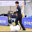 라운지펫 이미지