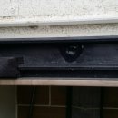 새신애드