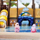피자알볼로주협의회 | 수원 황구지천 물놀이터 운영시간 위치 오픈런 주차 꿀팁 배달 후기
