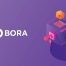 보라유통 - 동구 | 보라유통