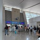 파리크라상잠바주스제주 | [후쿠오카 여행] 제주항공 셀프백드랍, 7C 1405 프론트존 무료좌석(🥤커피 기내반입)
