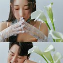 무혼 태권도 | [부산] 나의 화보같은 &#39;Magnificent&#39; 웨딩 촬영 후기💍✨