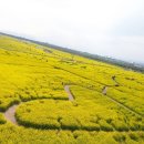 대저생태공원 이미지