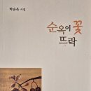 꽃 뜨락 이미지