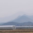 어제의 그림 오늘의 인문학 이미지